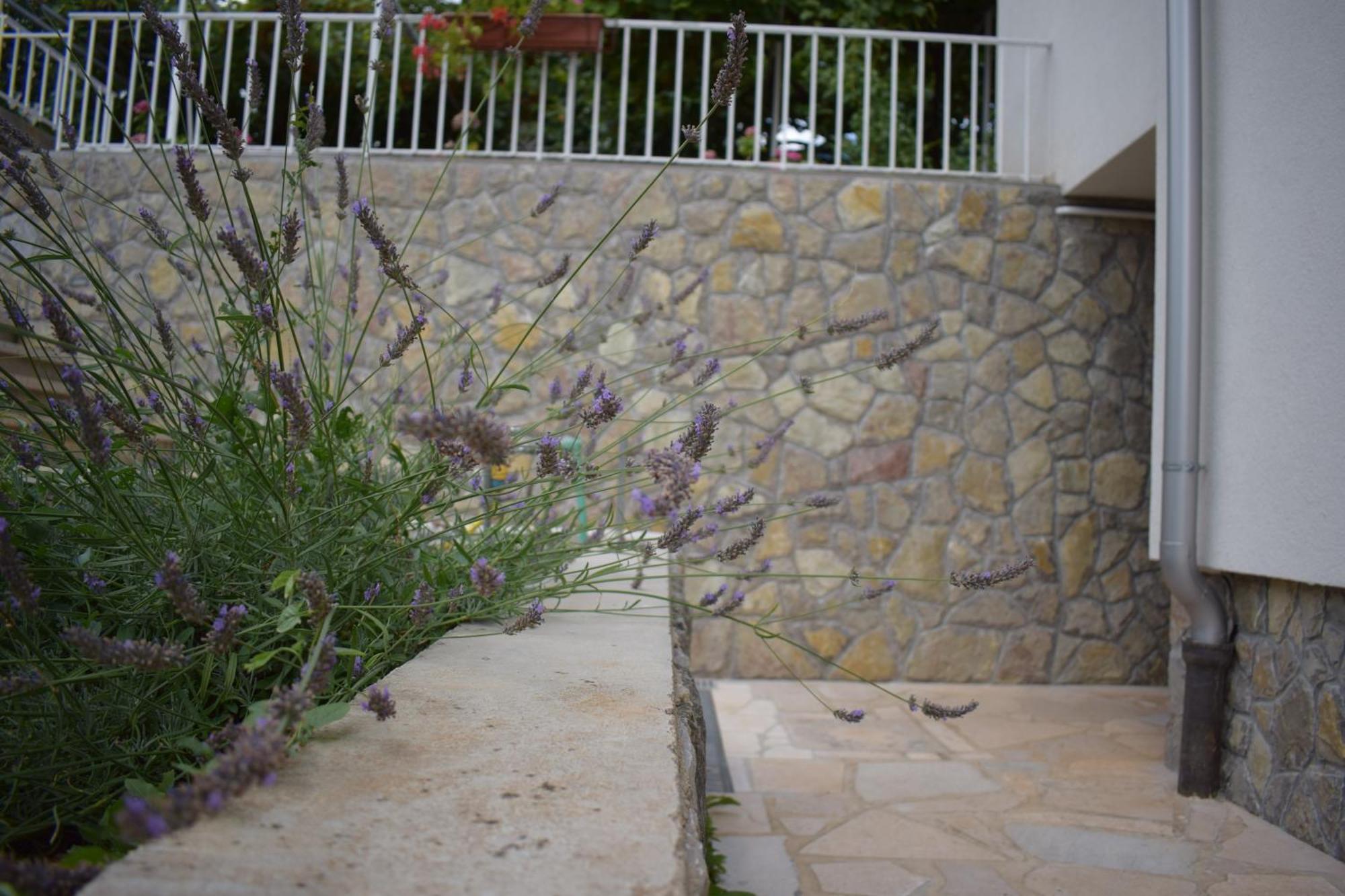 Apartments Frlan Kastav Exterior photo